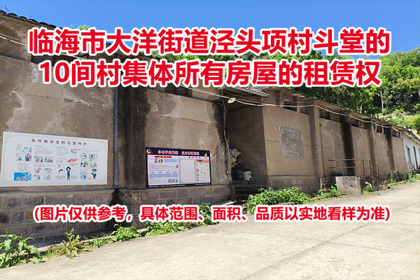 临海市大洋街道泾头项村斗堂的10间村集体所有房屋的租赁权